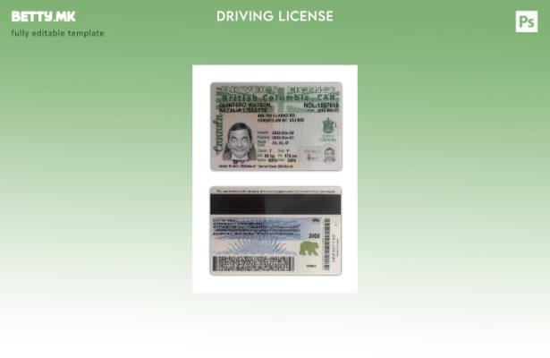 Модерен стил Канада Британска Колумбија возачка дозвола присутен шаблон